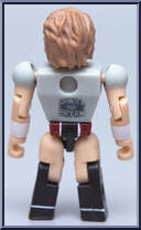Daniel Bryan from WWE Stack Down - Blind Bags manufactured by Bridge Direct [Loose]