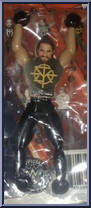 Seth Rollins Action Figure