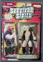 HHH from WWF Signature - Series 6 - Survivor Series manufactured by Jakks Pacific [Front]