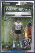 Al Snow from WWF Titan Tron Live - Rulers of the Ring 1 manufactured by Jakks Pacific [Front]