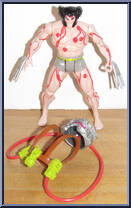 Wolverine (4th Edition - Weapon X) from X-Men - Series 2 manufactured by Toy Biz [Loose]