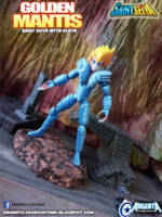 Mantis Eligor (Saint Seiya) Custom Action Figure