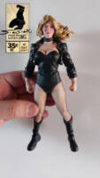 Black Canary (DC Multiverse) Custom Action Figure