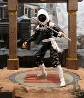 Ninja Force Storm Shadow (G.I. Joe 30th Anniversary) Custom Action Figure