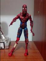 Zombie-Spiderman (Marvel) Custom Action Figure