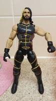 Seth Rollins Elite (Wrestling) Custom Action Figure