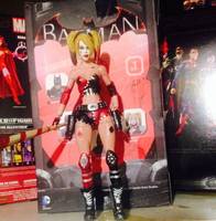 Harley Quinn (Batman - Arkham City) Custom Action Figure