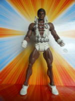 Tyroc (DC Universe) Custom Action Figure