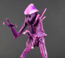 Alien Arachnoid (Alien vs Predator) Custom Action Figure