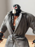 Bane (DC Direct) Custom Action Figure
